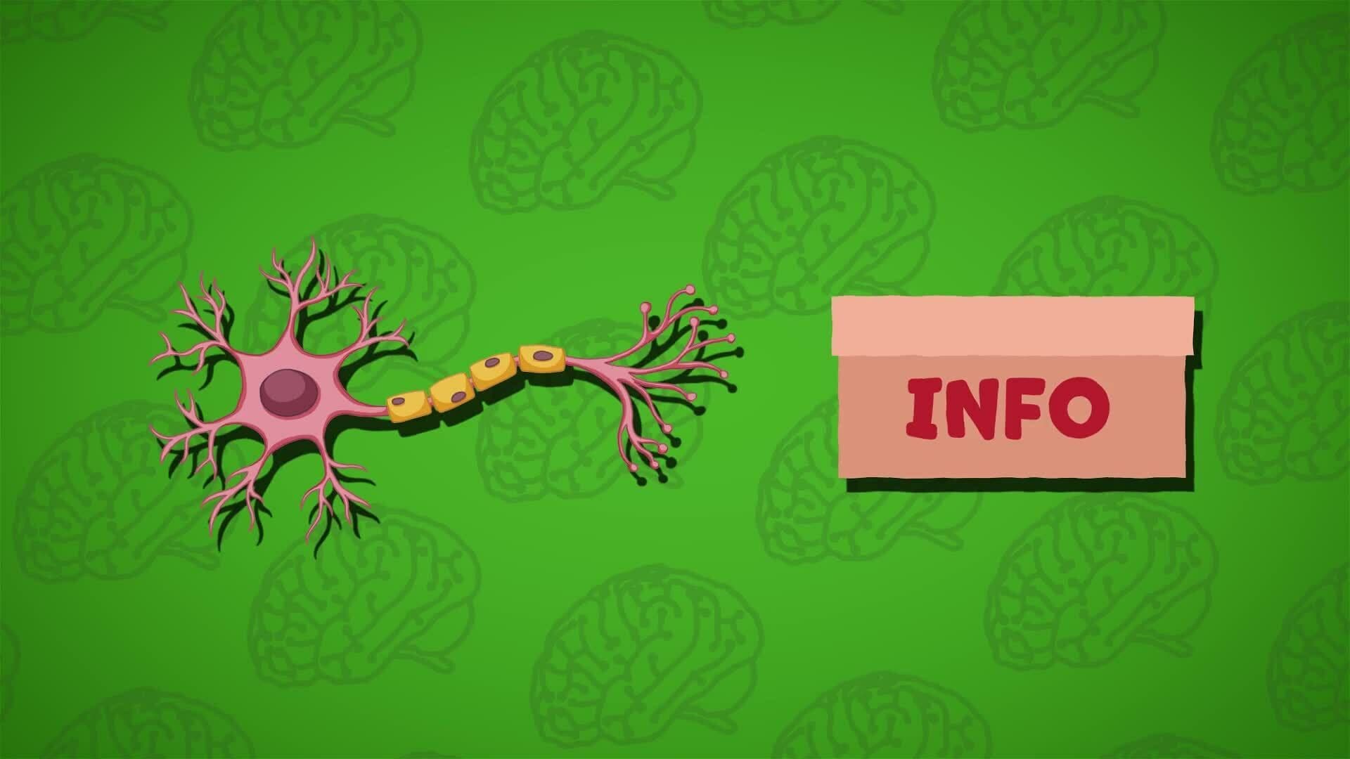 I WONDER - What Is A Neuron?