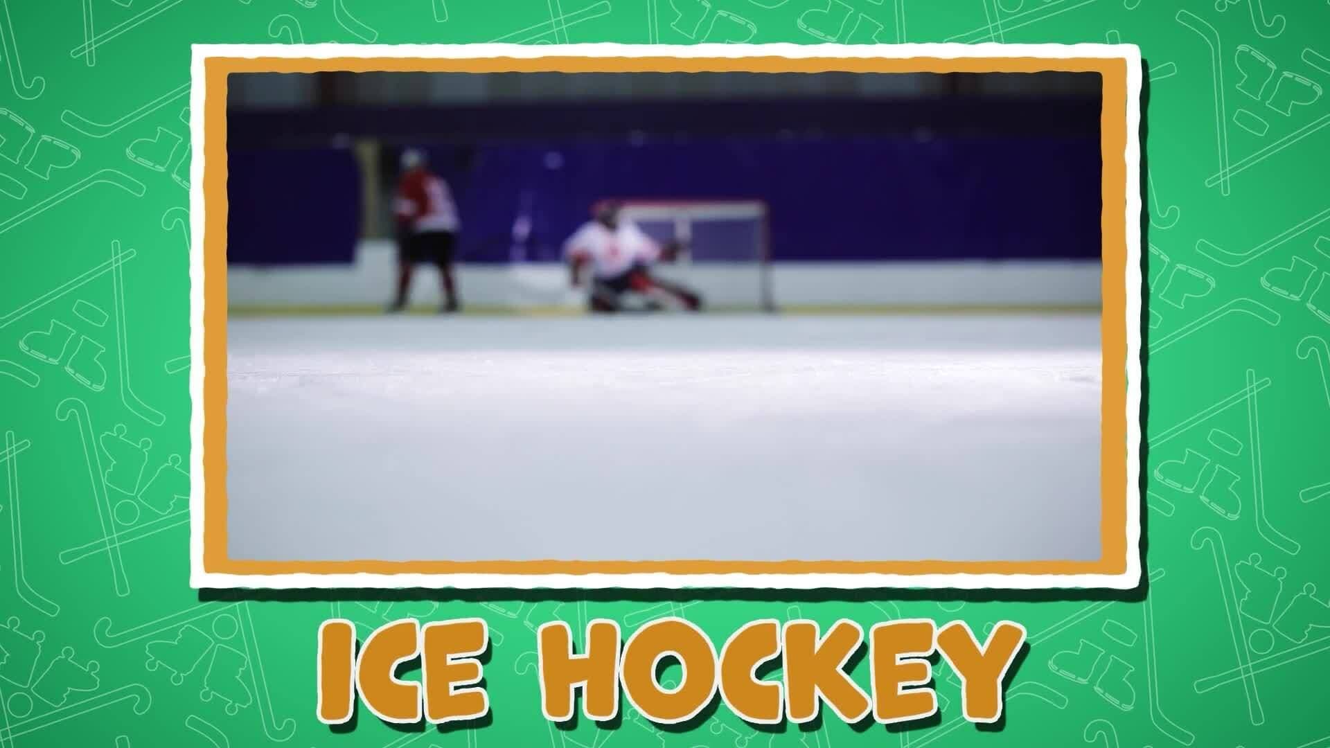 I WONDER - Are There Different Types Of Hockey?