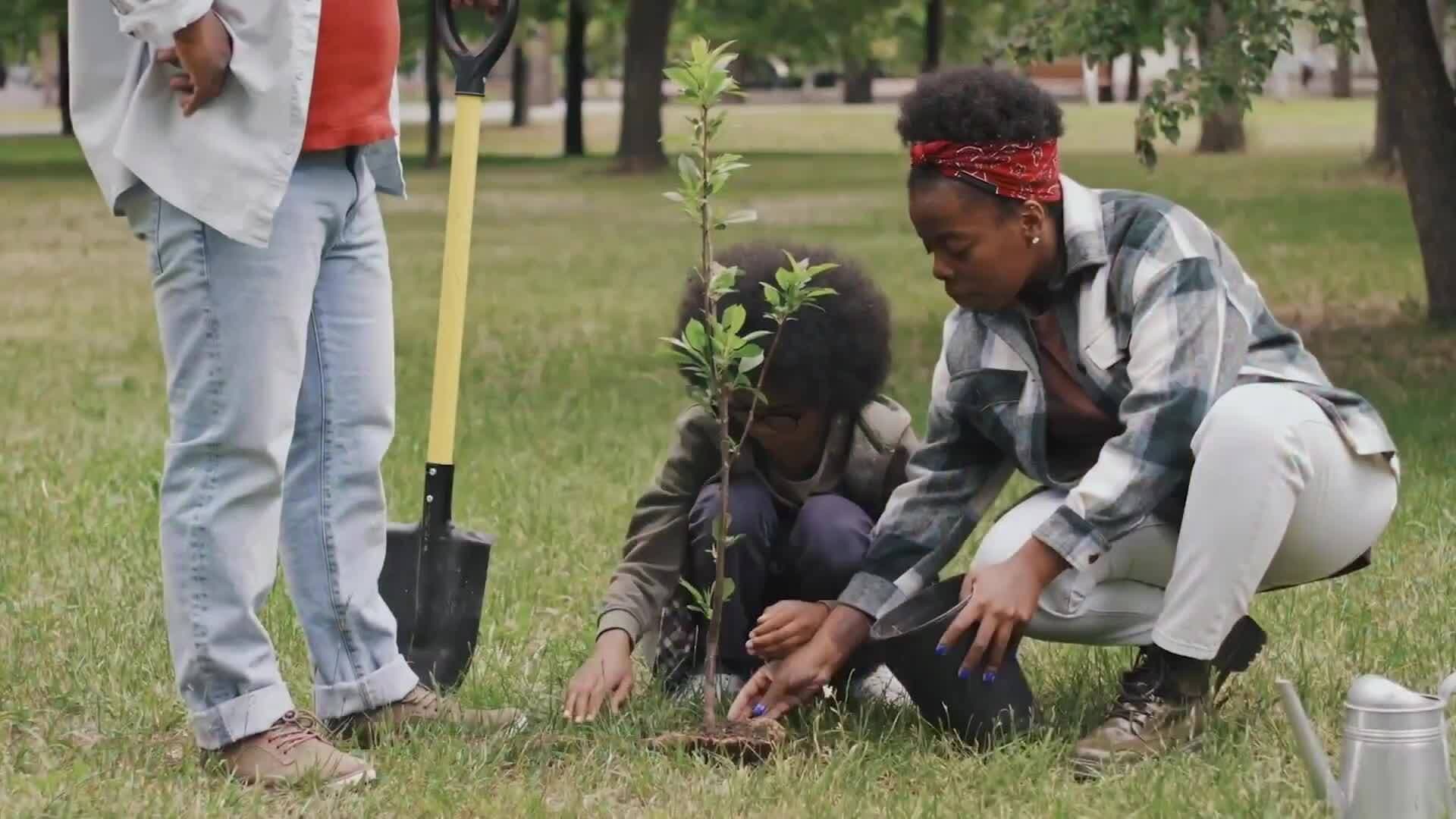 Taking Action Against Climate Change: Small Steps and Big Ideas