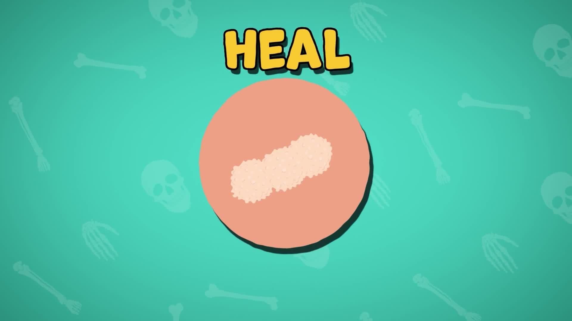  Five Facts - Bones