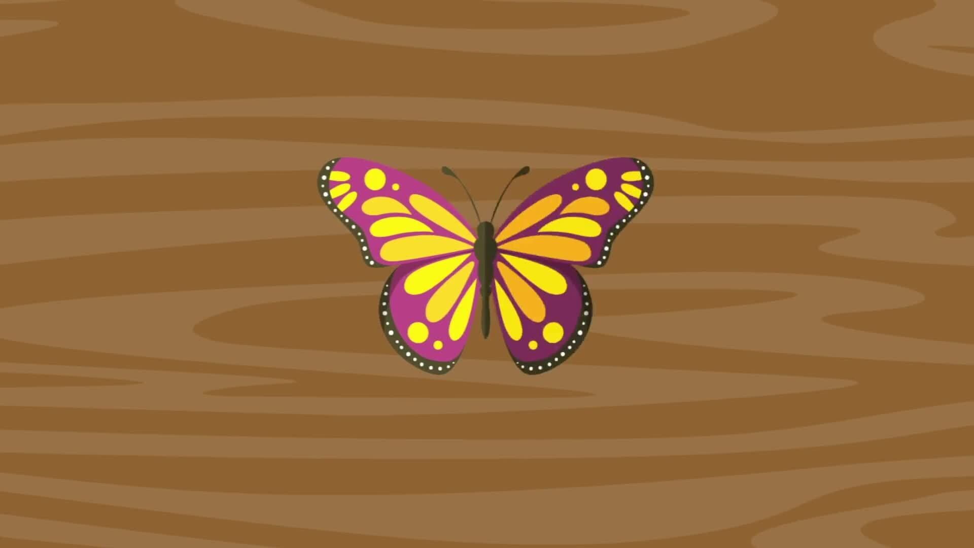 Symmetry : Making Cards