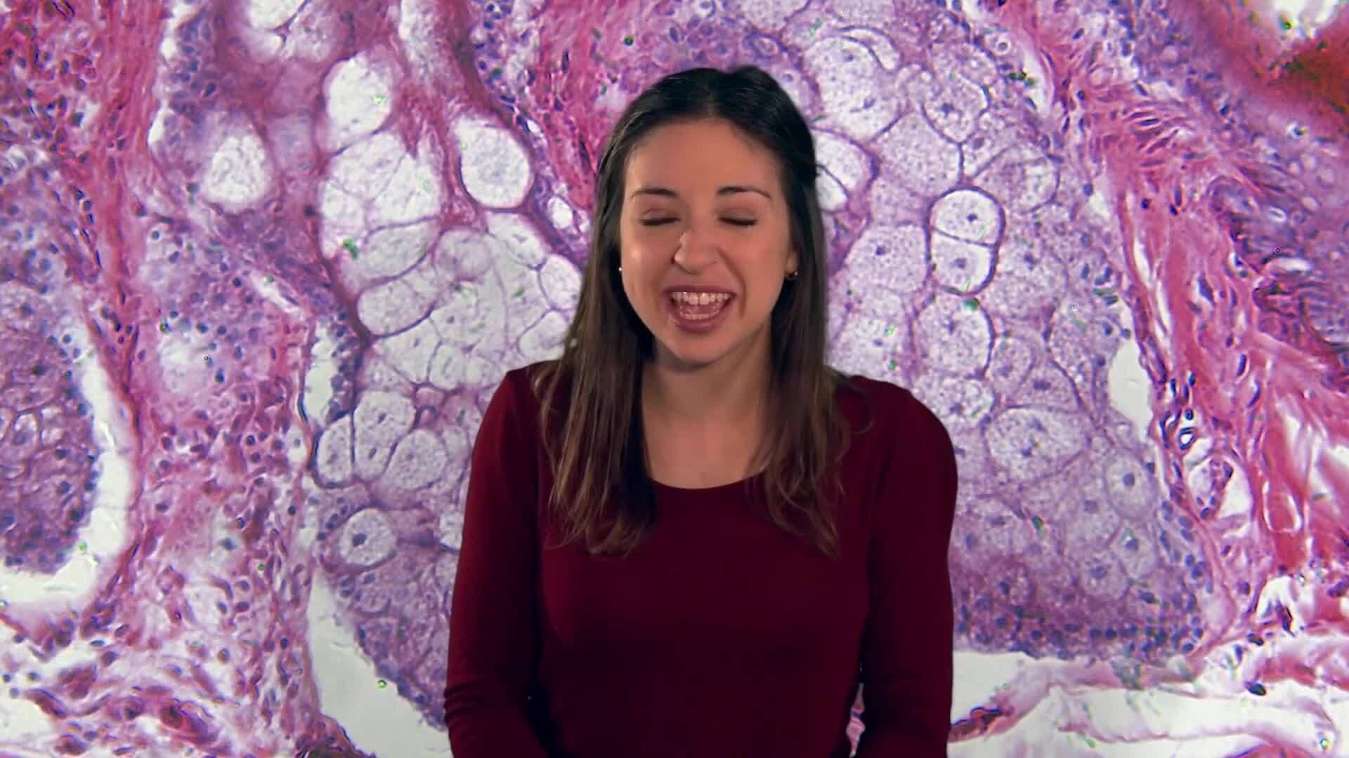 Cell Division and Reproduction in Animals and Plants