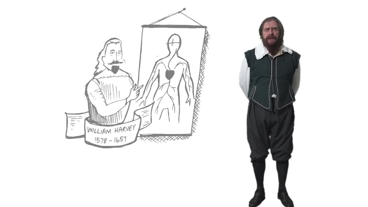 William Harvey's discovery