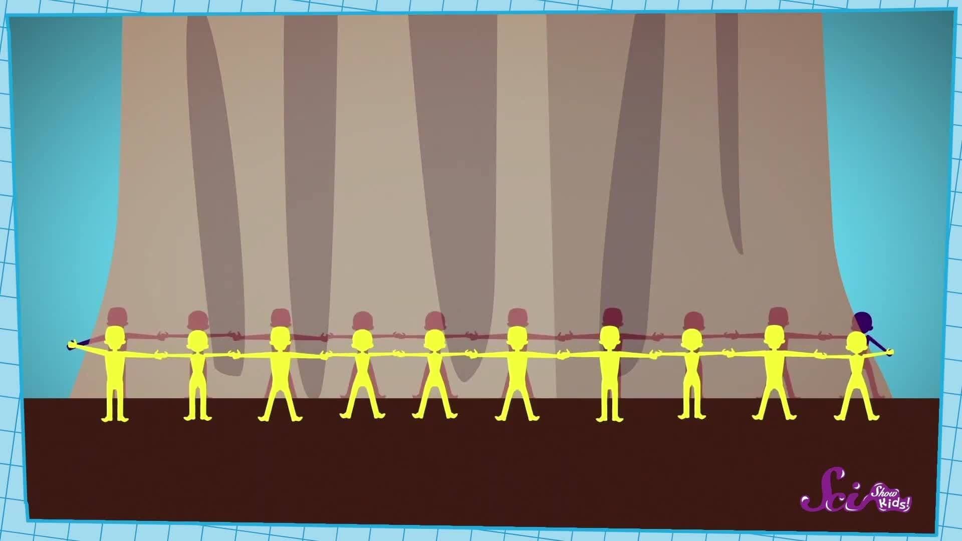 Meet the Redwoods: The World’s Tallest Trees