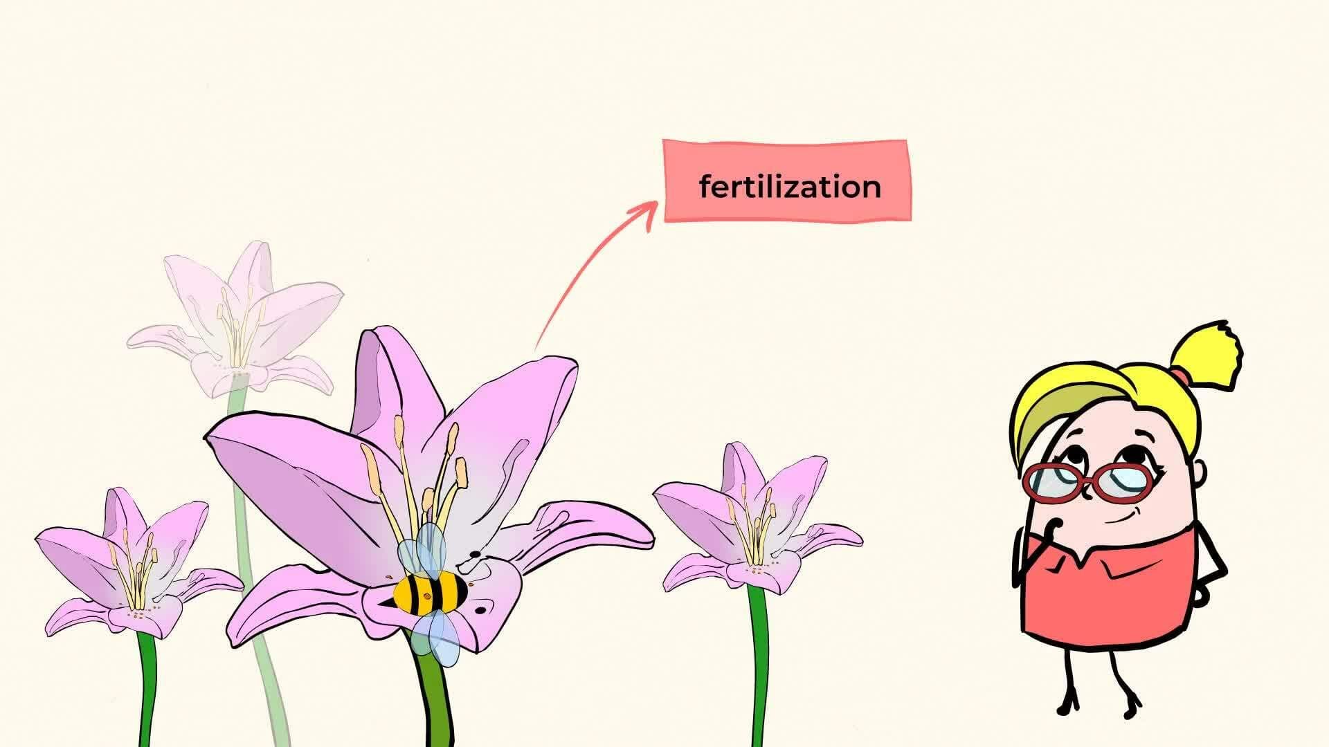 Exploring the Dependence of Plants on Pollinators and Seed Dispersal