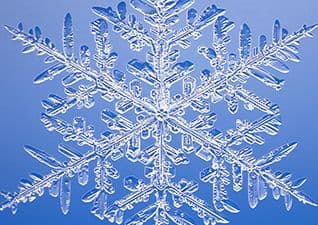 Snowflakes