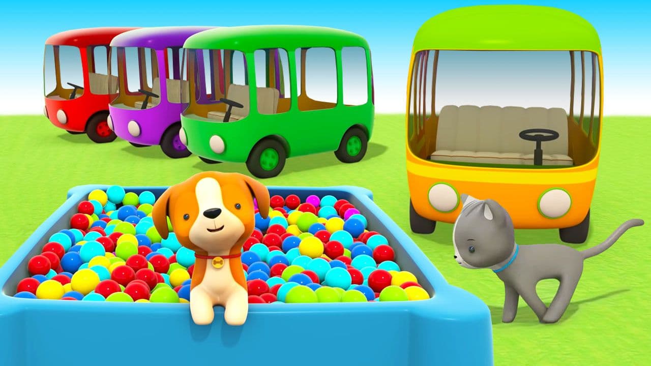 Colour Buses