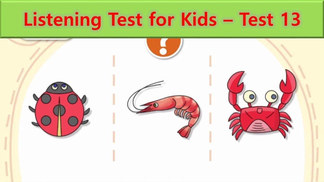 Listening Test 13