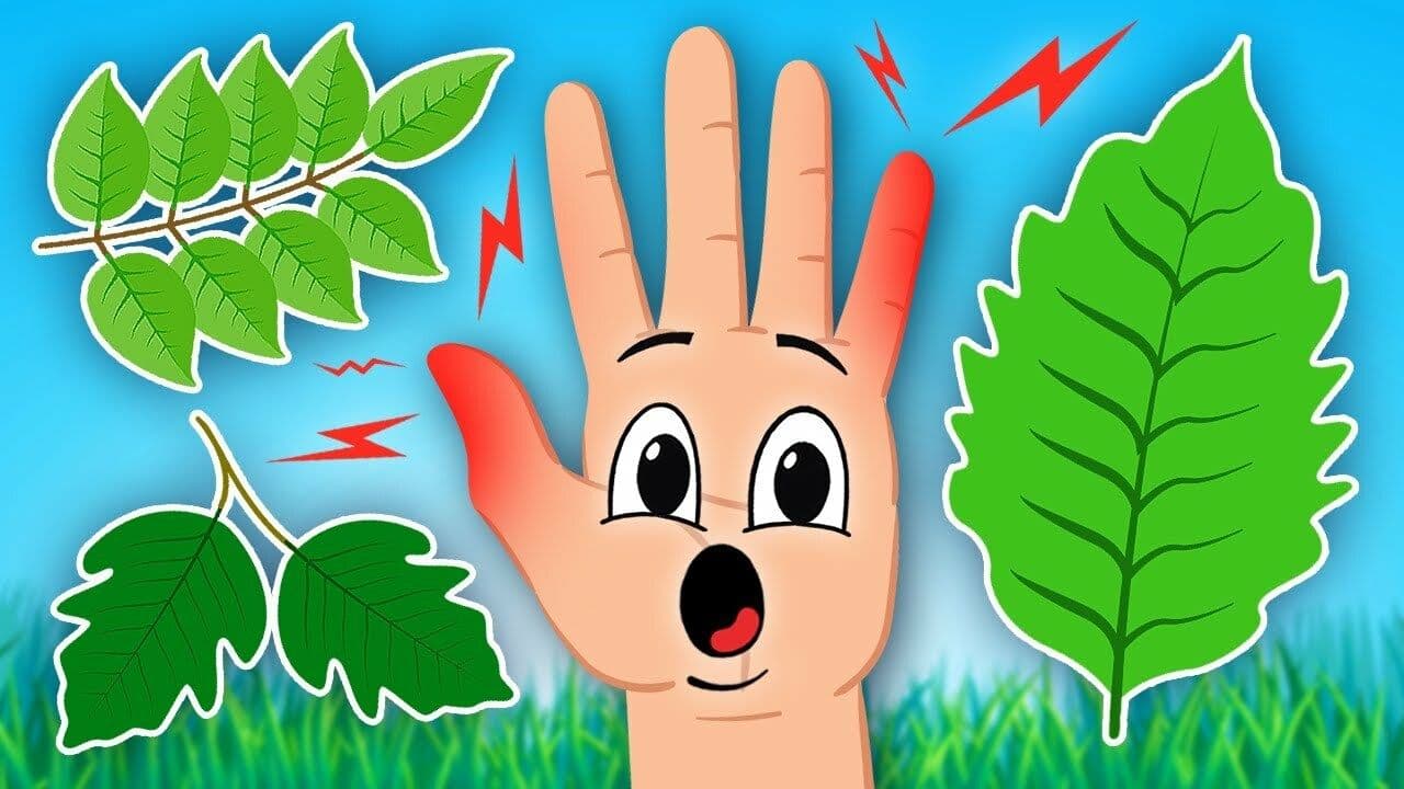 Discover The Top 3 Plants To Stay Away From!