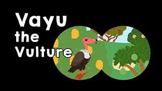 What vultures do?