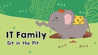 Introduction to IT Family words