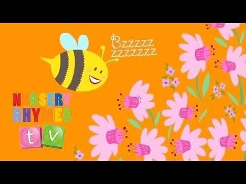 IF I COULD BE AN ANIMAL | Original Song | Nursery Rhymes TV | English Songs For Kids