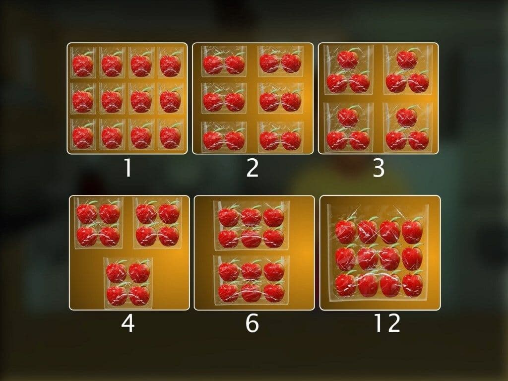 Factors of a Number