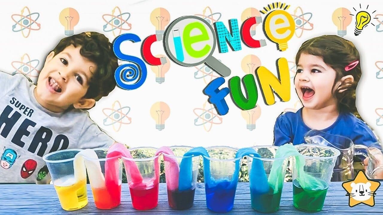 Walking Water Science Experiment