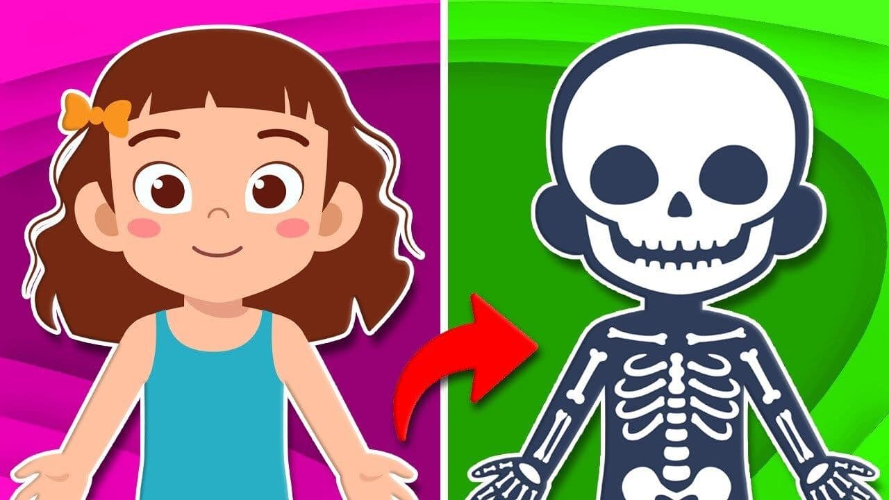 Learn Why We Sneeze!