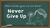 Sheldon's Sunflower Perseverance