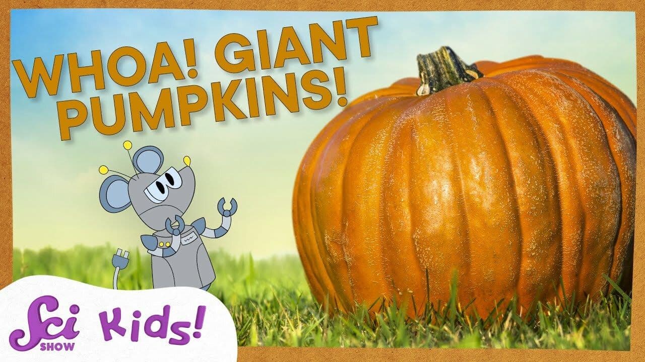 Why Do Pumpkins Get So Big? | SciShow Kids