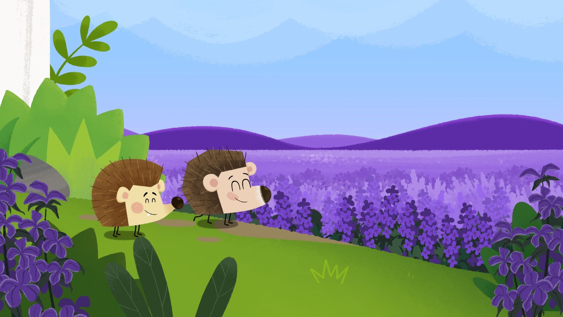 Hedgie Highway