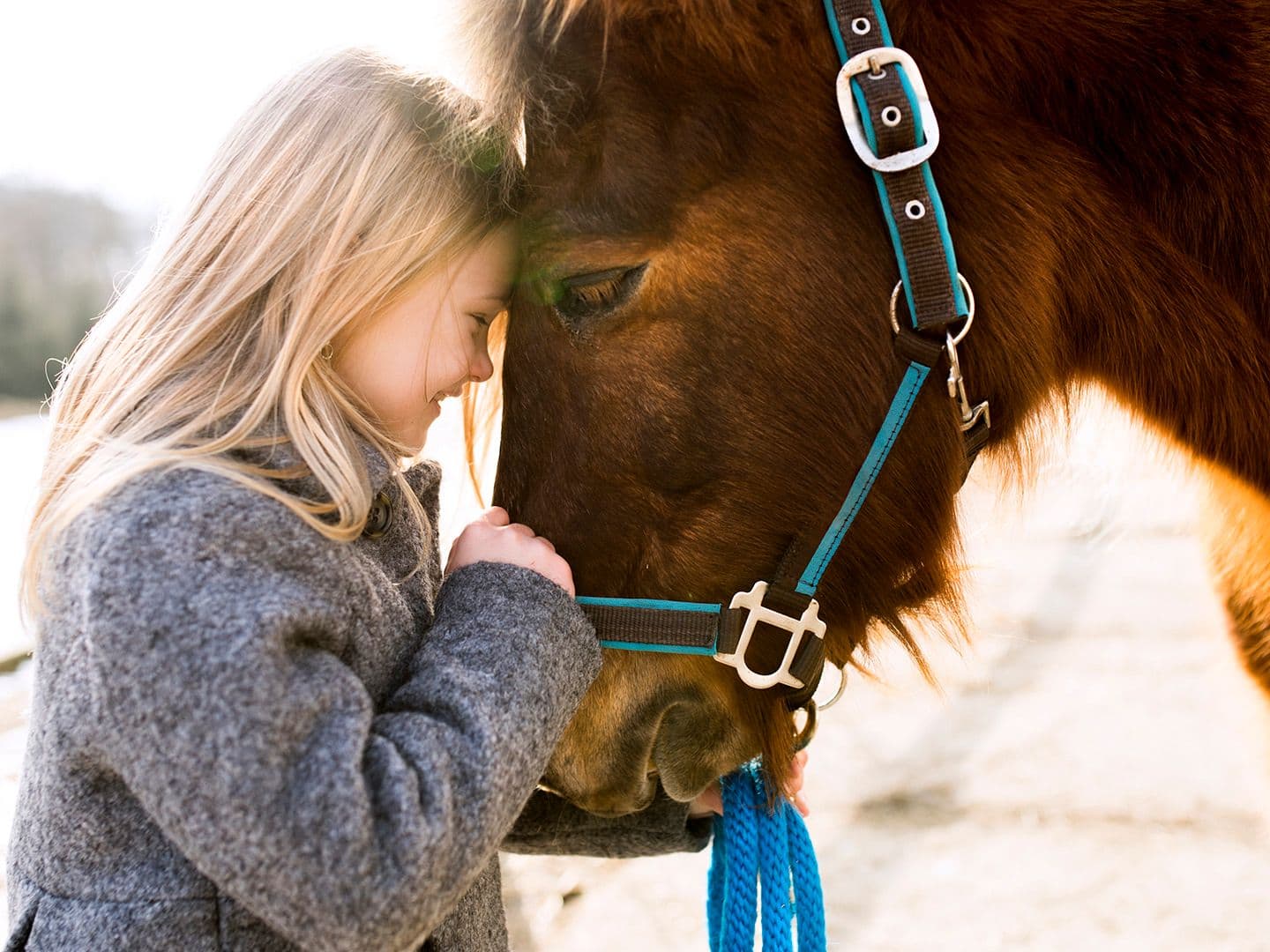 The Power of Curiosity