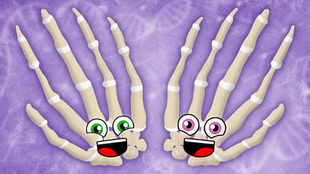 All Of The Bones In Your Hands | KLT Anatomy