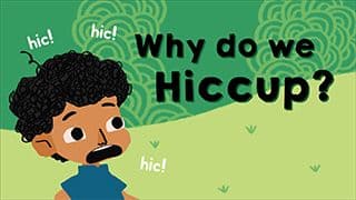 Lets stop these hiccups