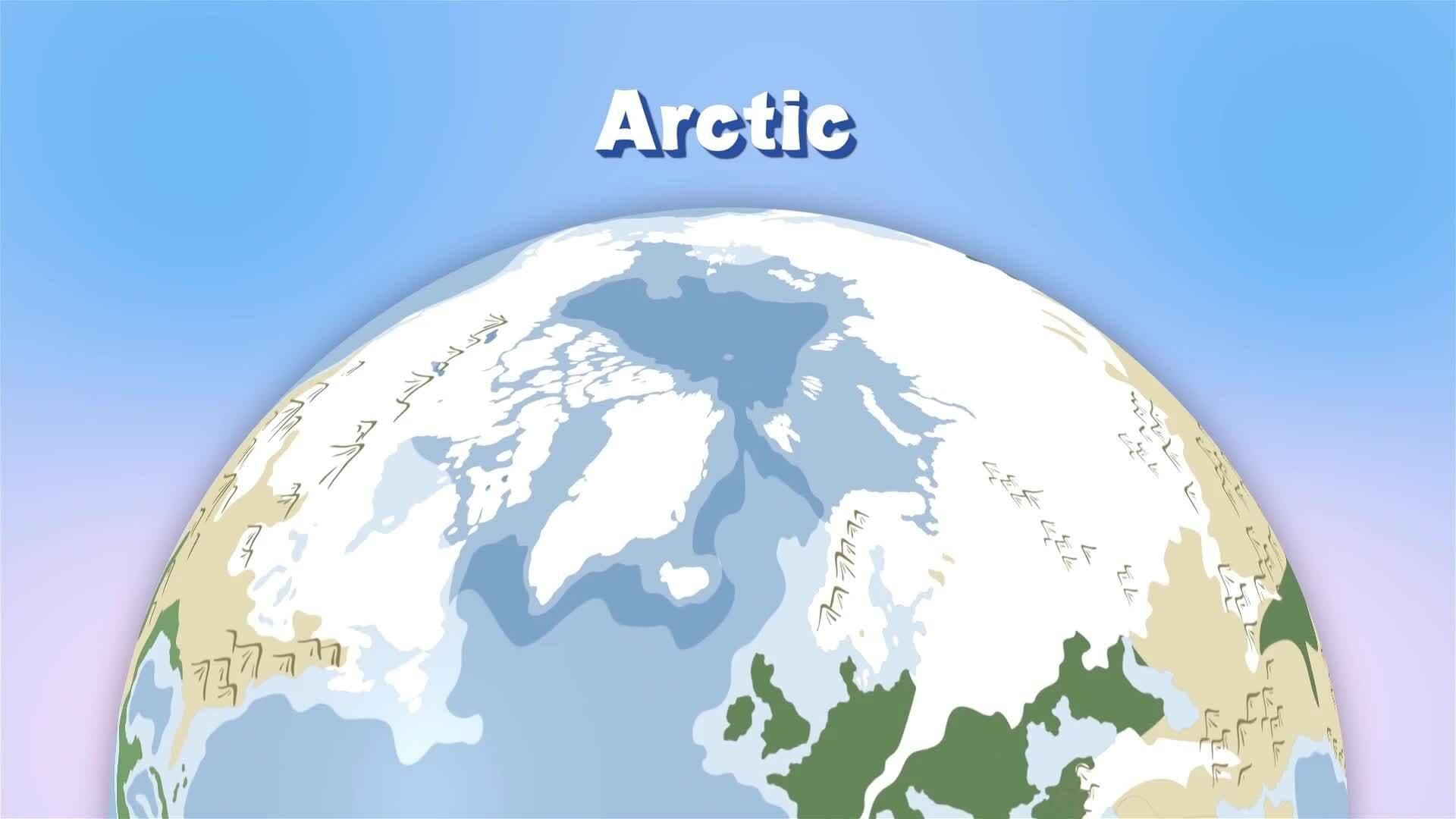I WONDER - Where Do Walrus Live?