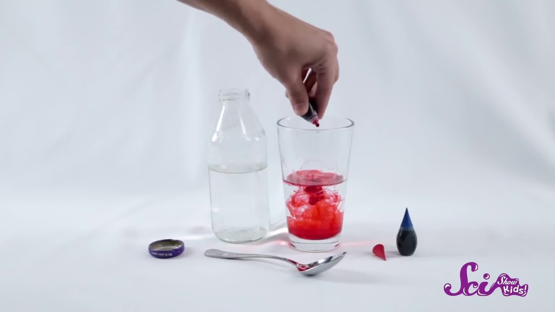 The Color-Changing Celery Experiment!