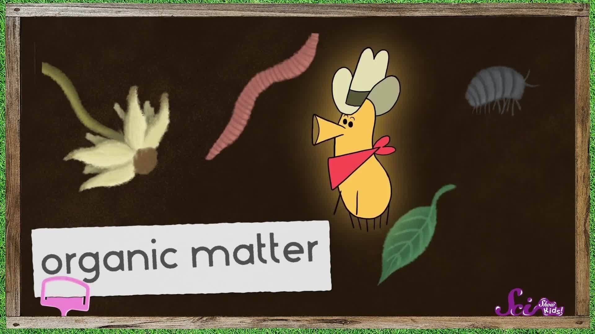 Soil Is Alive!