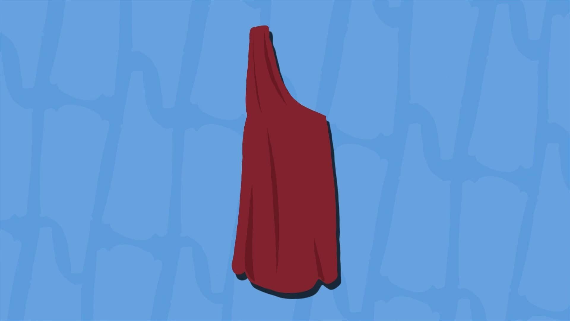 I WONDER - Did All Romans Wear Togas?