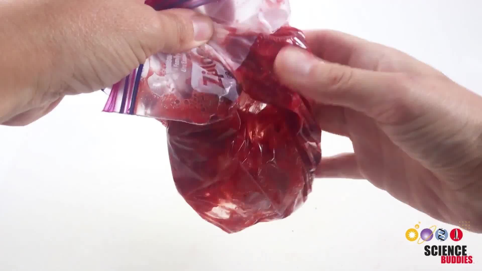Strawberry DNA Extraction