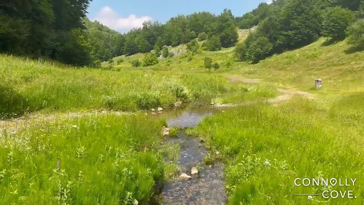 Vratsa Bulgaria: Things To Do In Vratsa