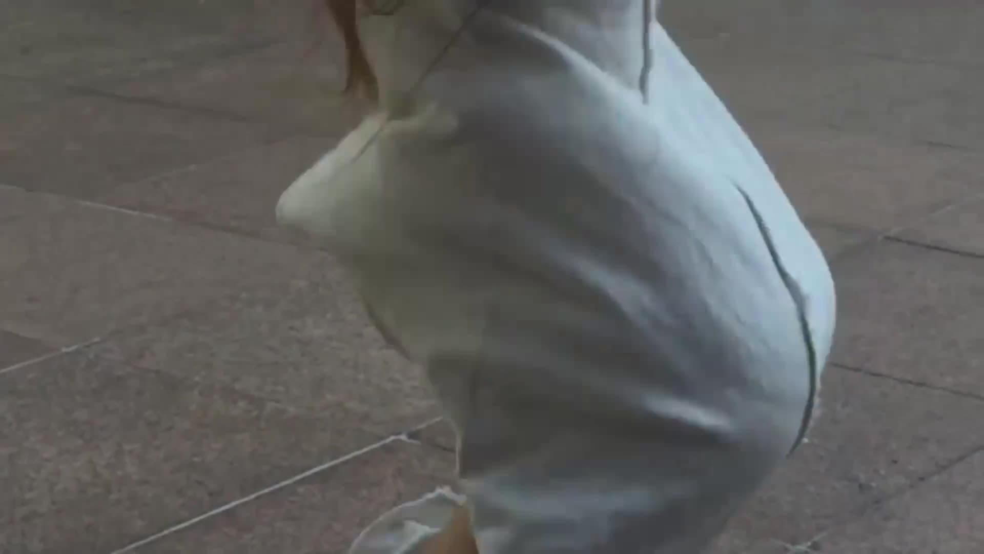 Sia- Elastic Heart I Contemporary DanceI @Miss Auti