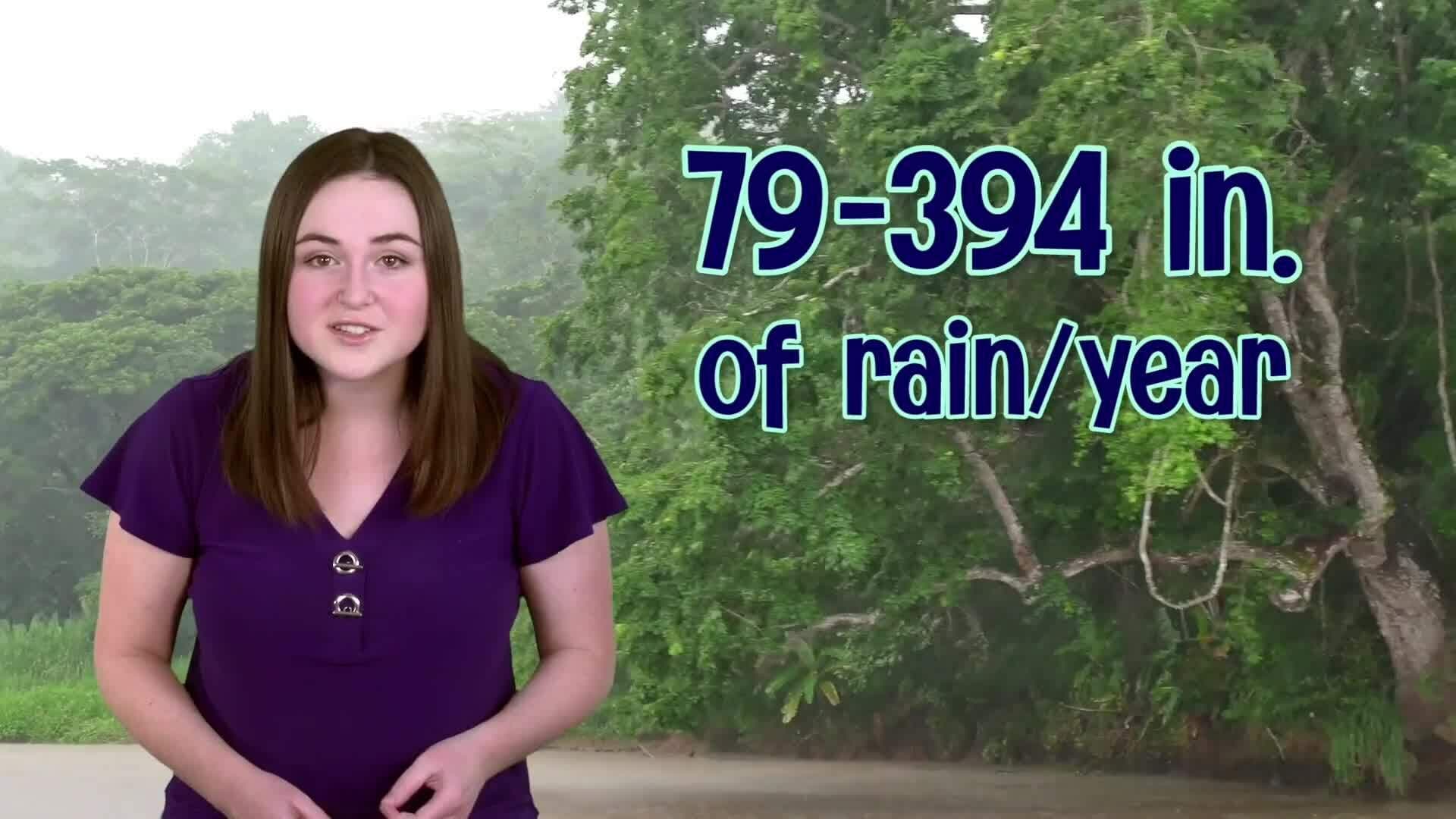 The Vital Role of Tropical Rainforests
