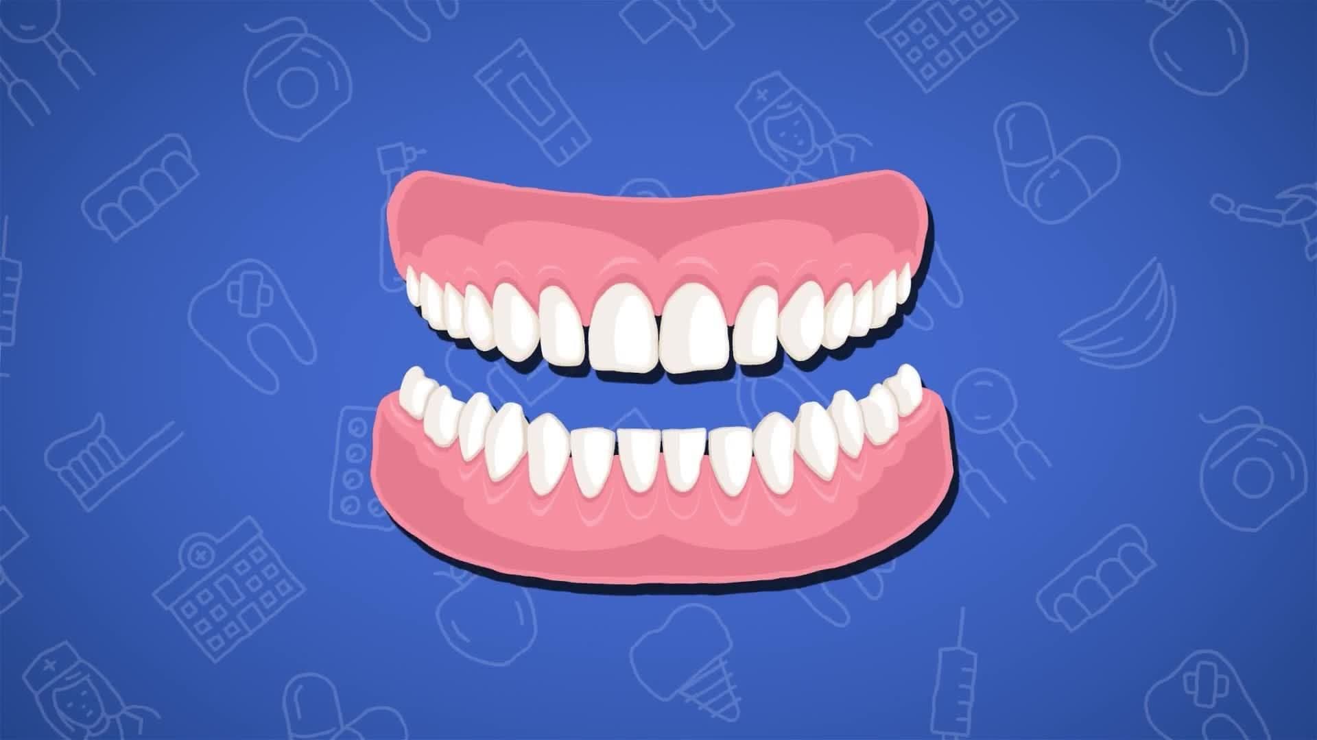 I WONDER - What Is Enamel?