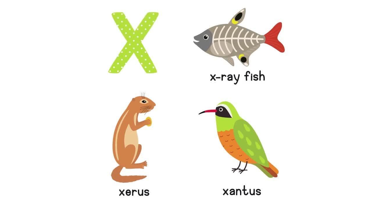 Ultimate ABCs QUIZ! Alphabet Game for Preschoolers and Toddlers