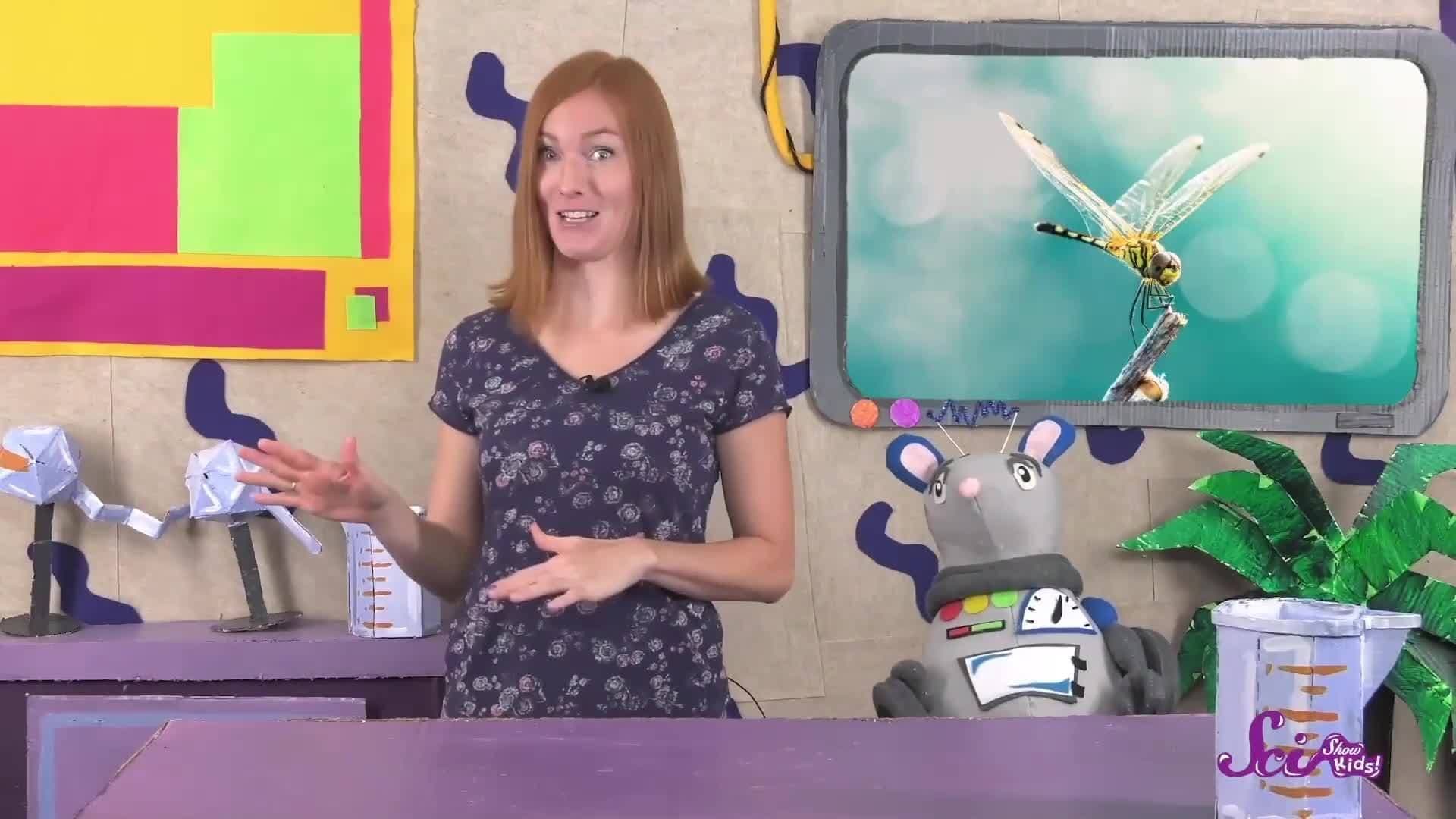 Super Strong Dragonflies!