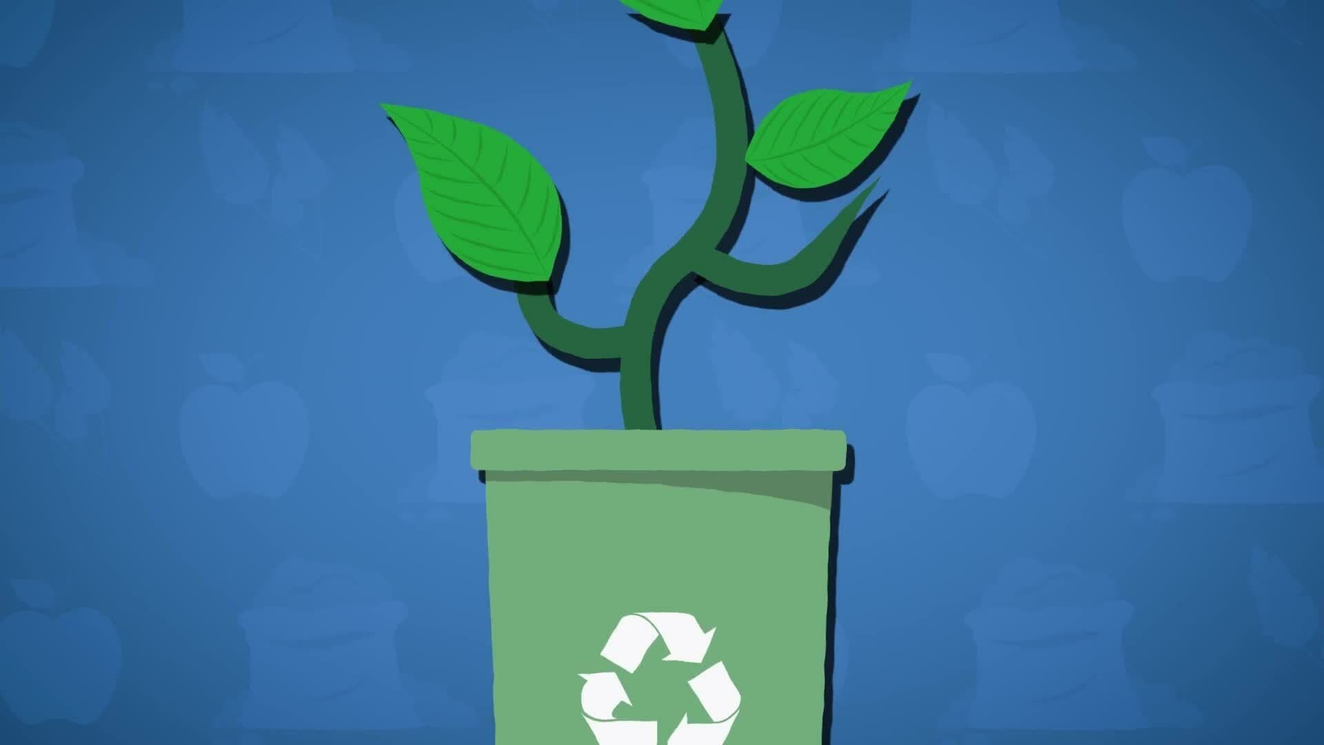 I WONDER - What Is Composting?
