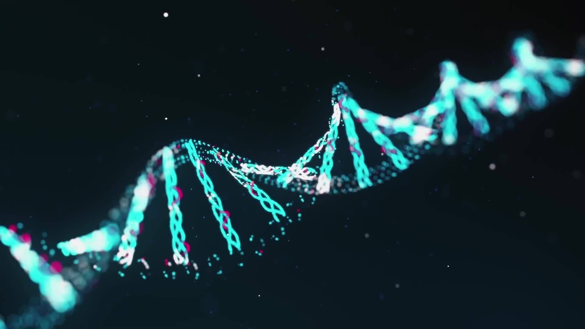 I WONDER - What Shape Is DNA?