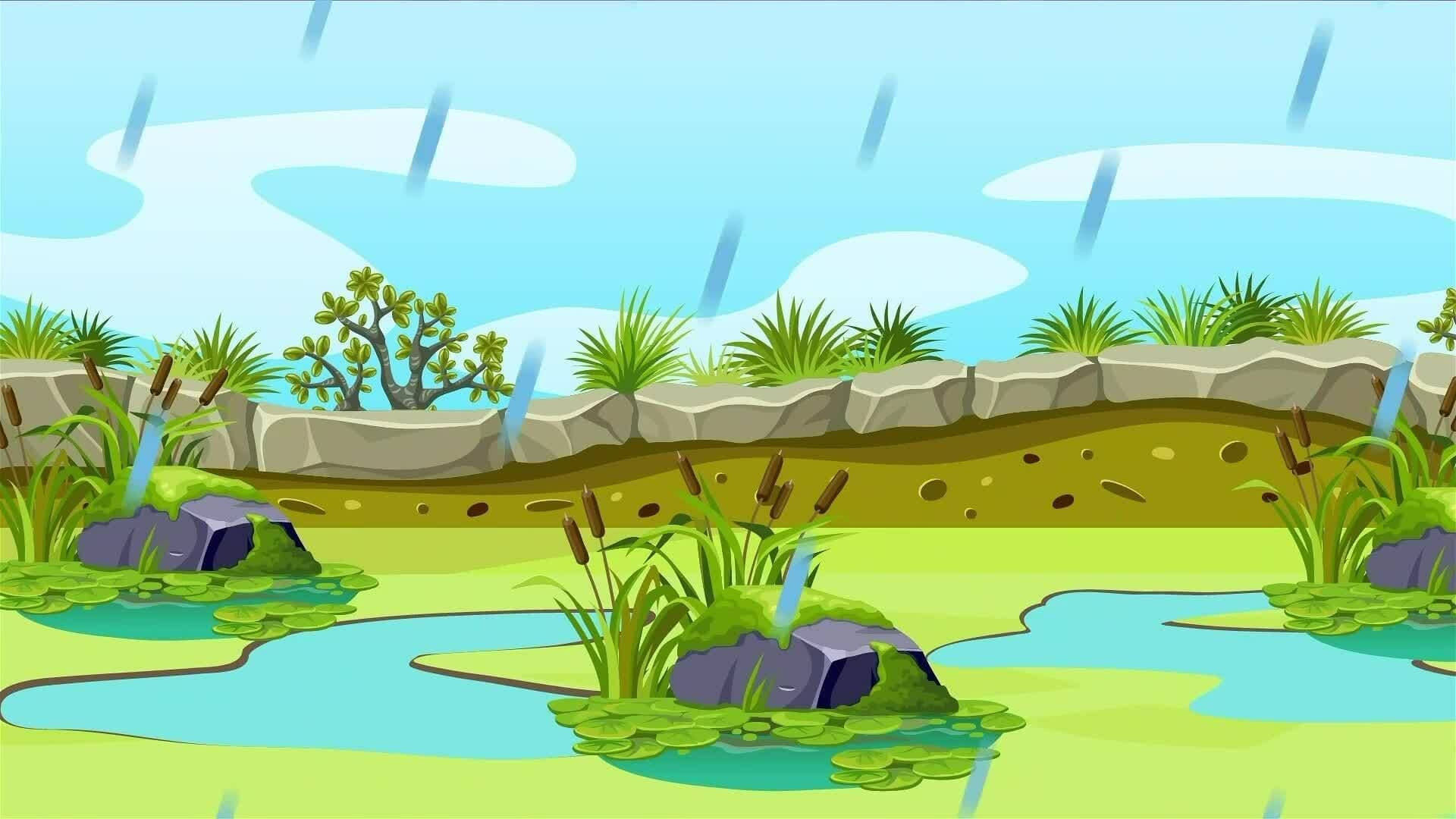 I WONDER - What Plants Live In Wetlands?