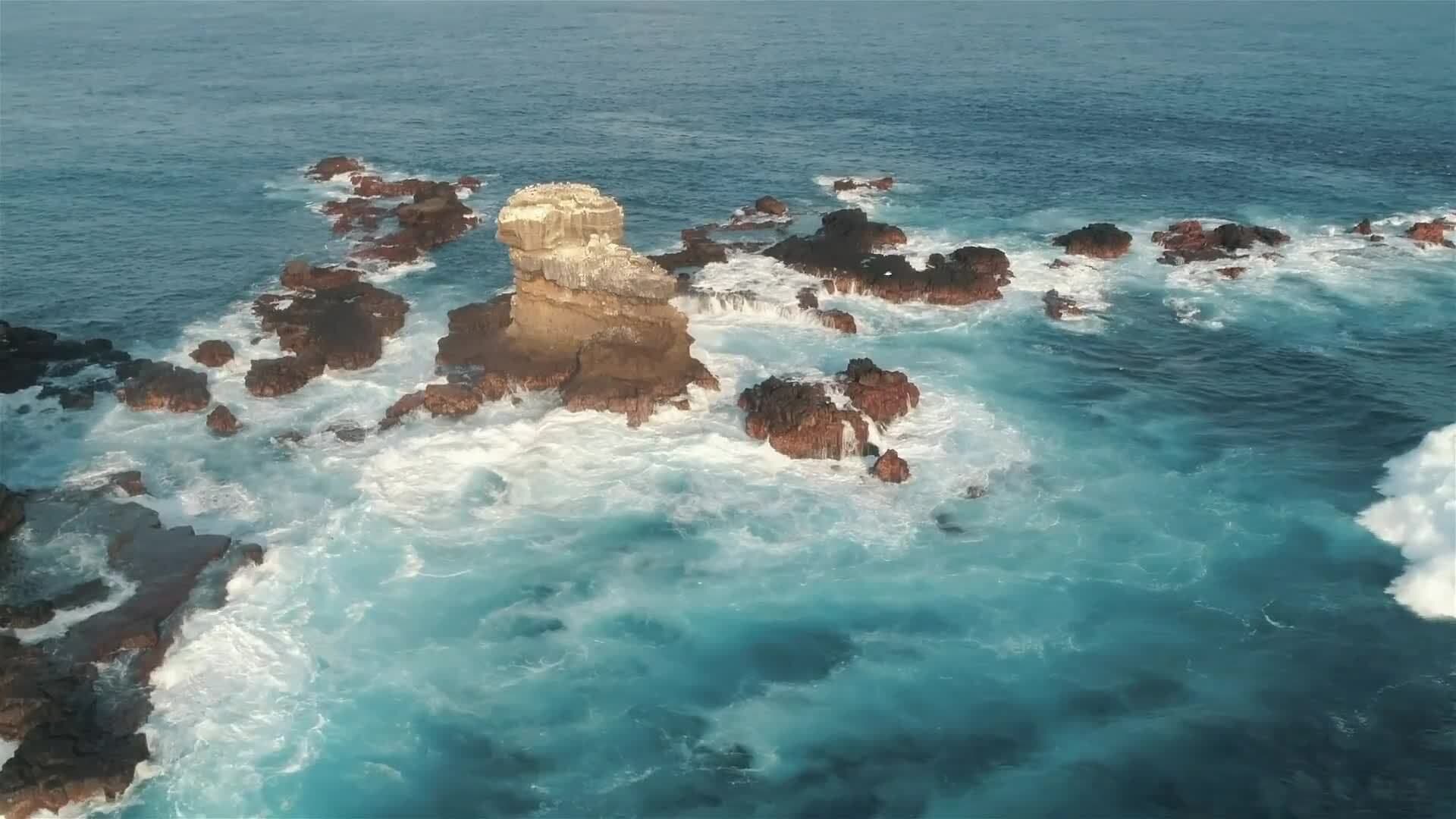 I WONDER - Why Are The Galapagos Islands Known As A Marine Reserve?