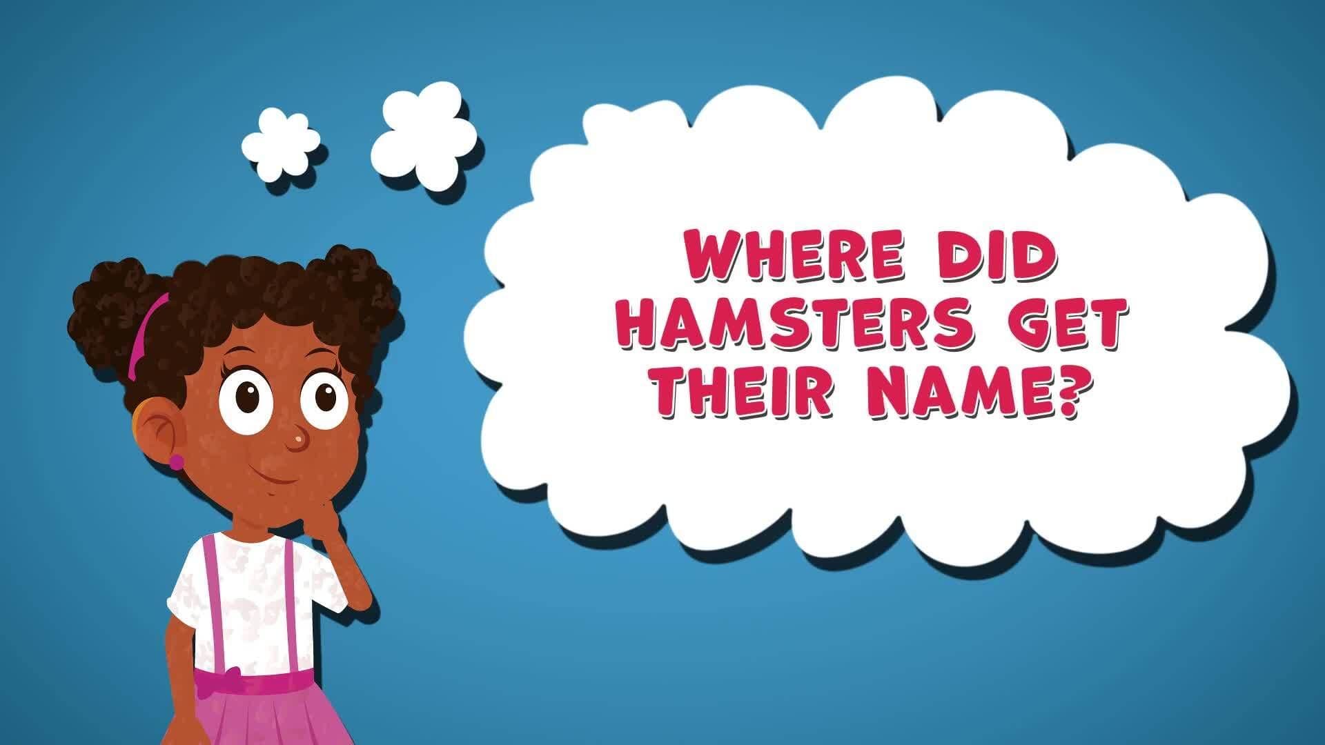 I WONDER - Where Did Hamsters Get Their Name?
