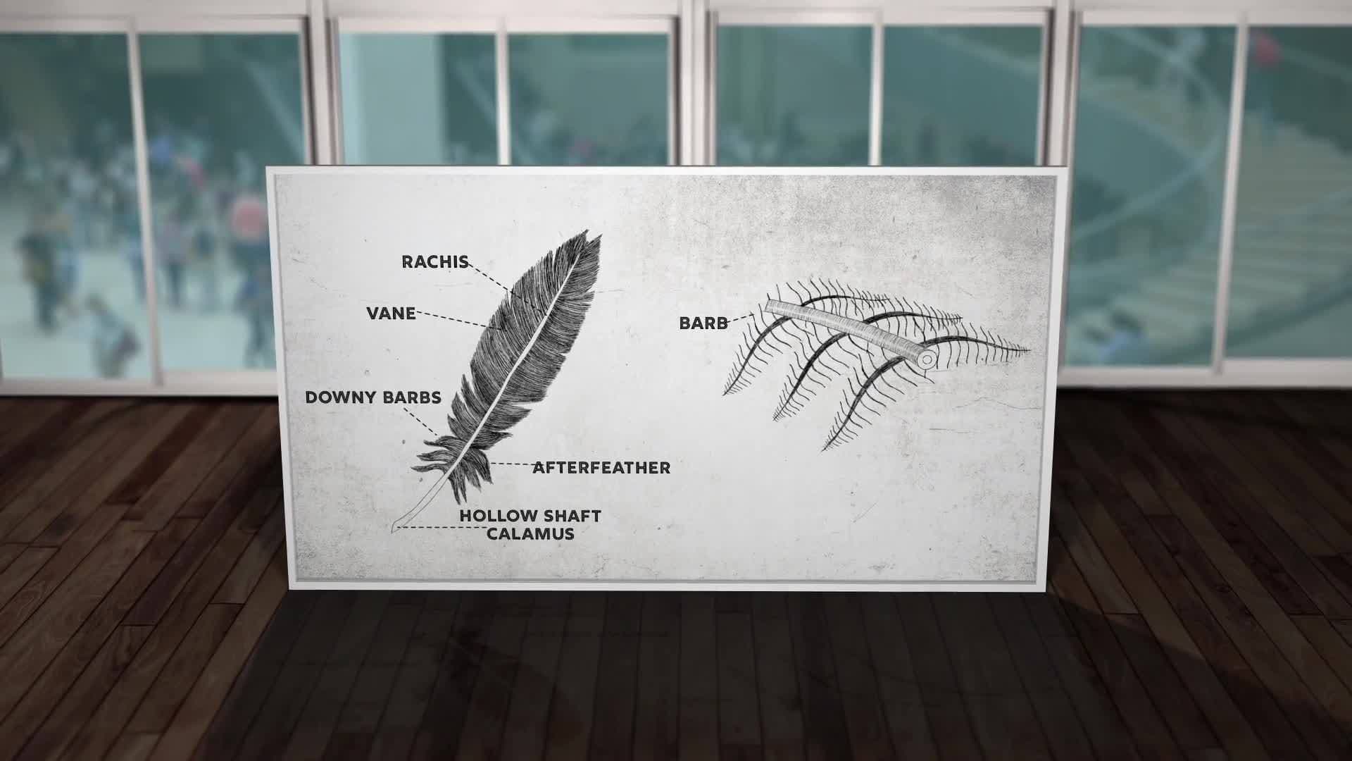The Quill Pen