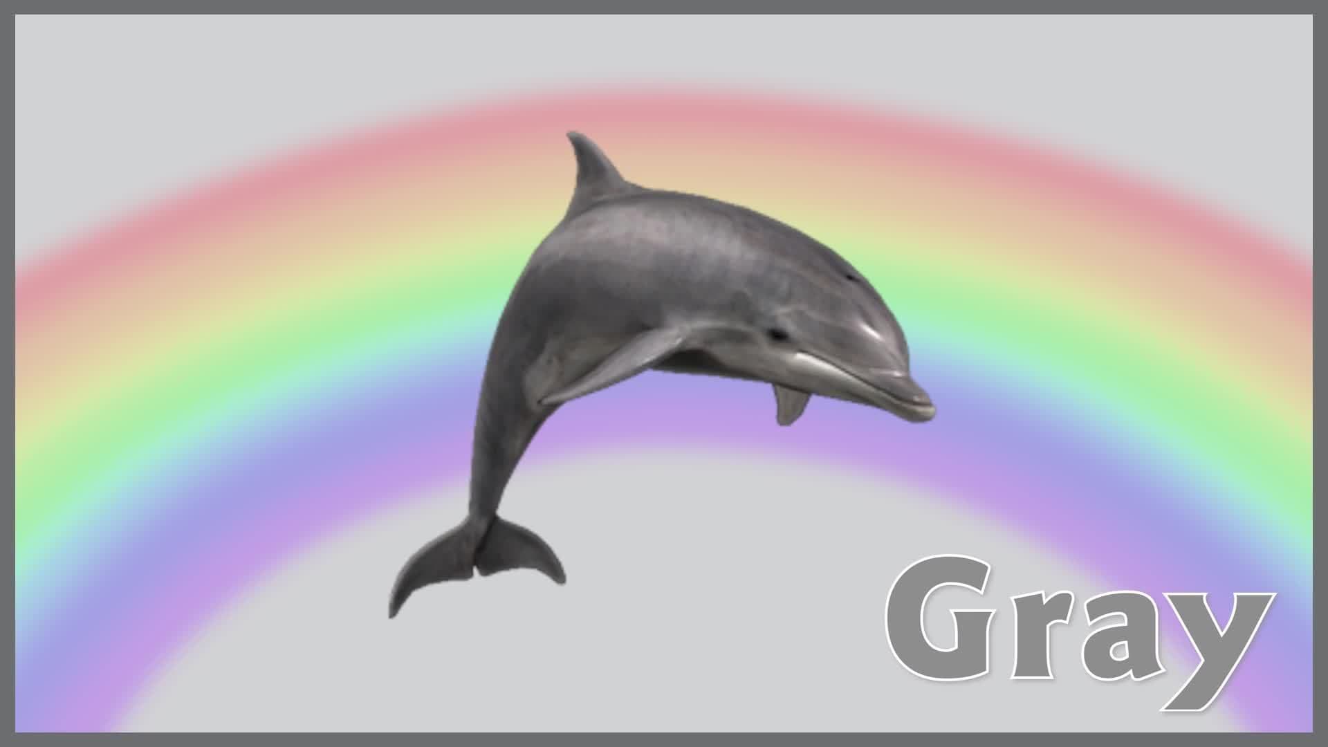 The Gray Song