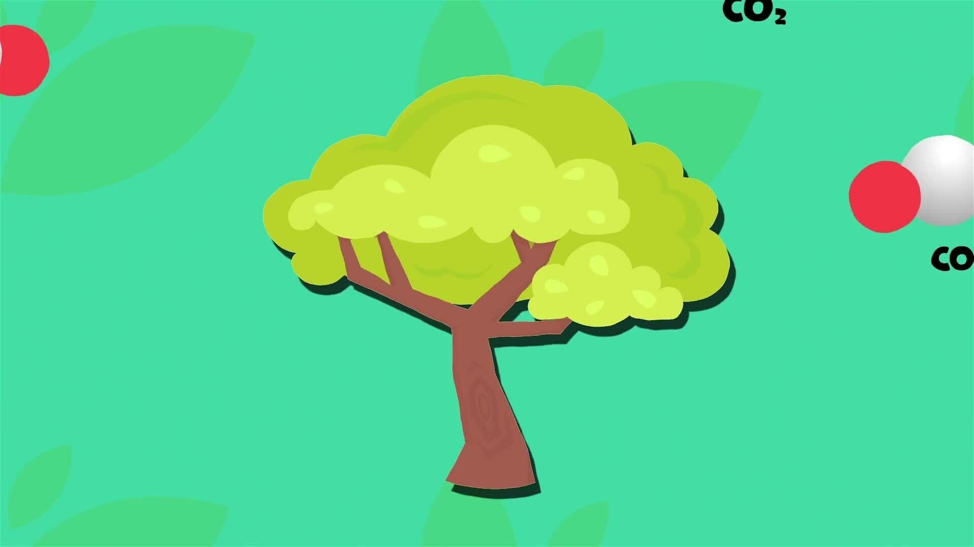 I WONDER - Why Are Trees Important?