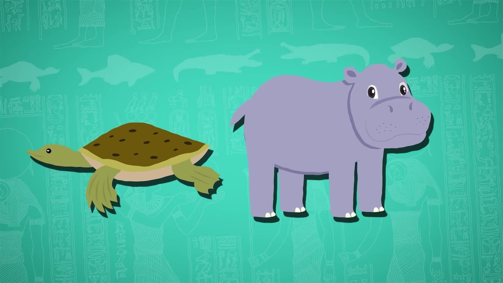 I WONDER - What Animals Live In The River Nile?