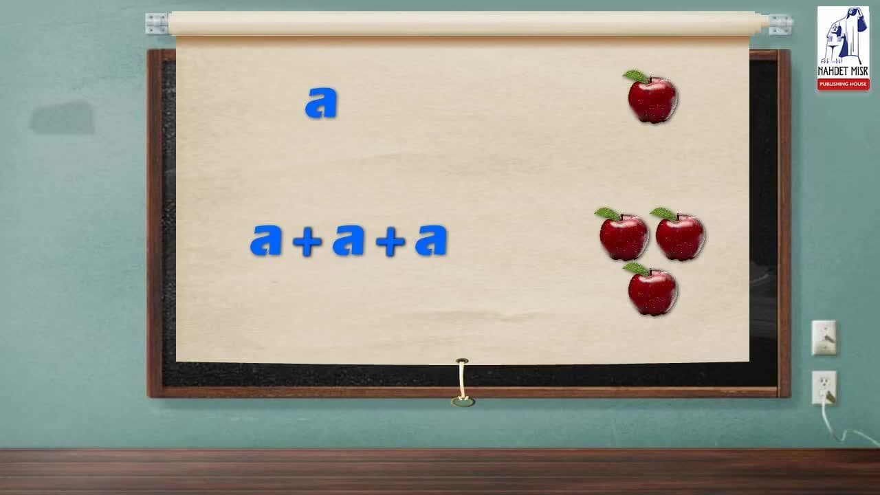 The algebraic term