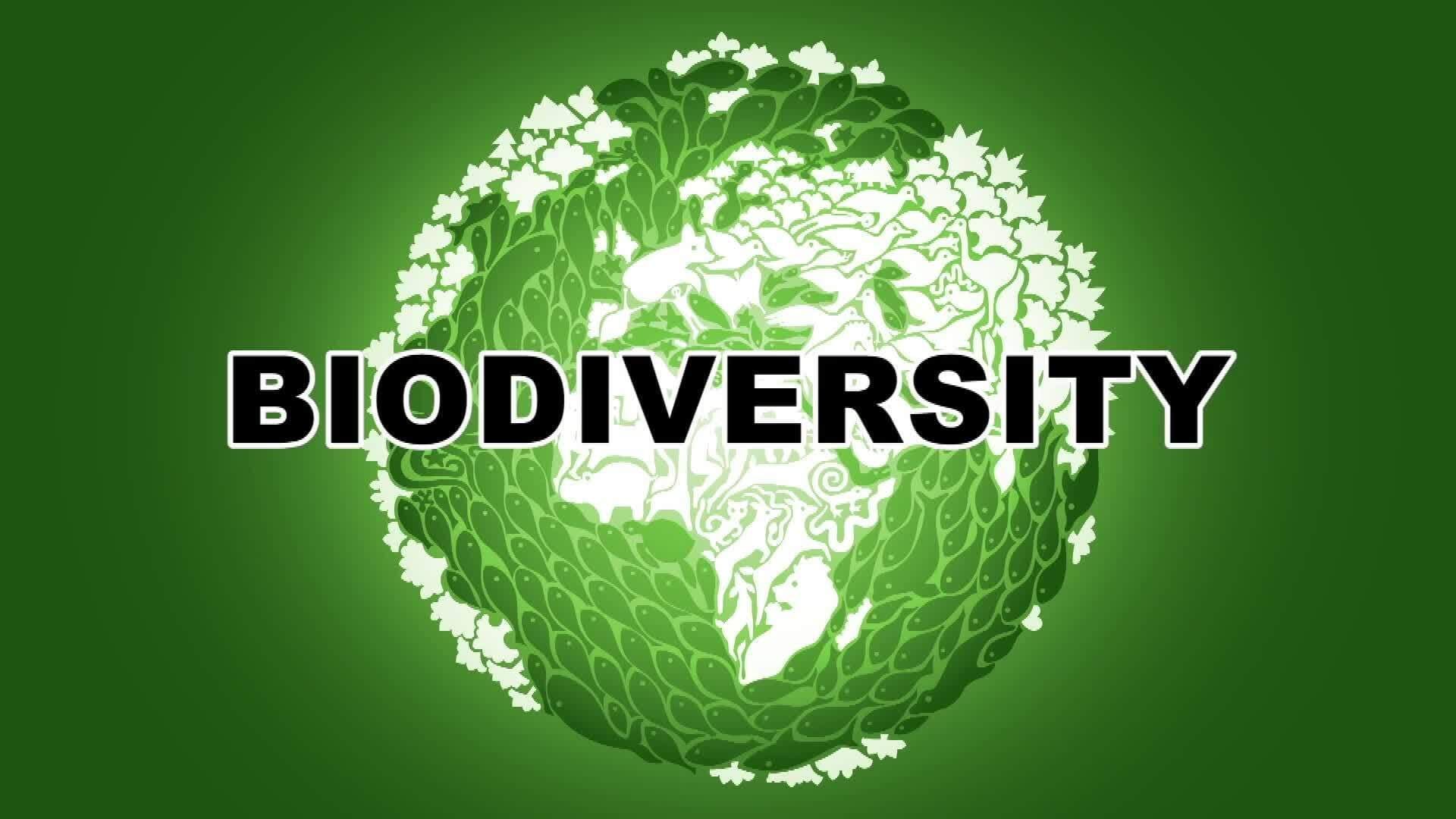 Understanding Biodiversity: Nature's Rich Tapestry