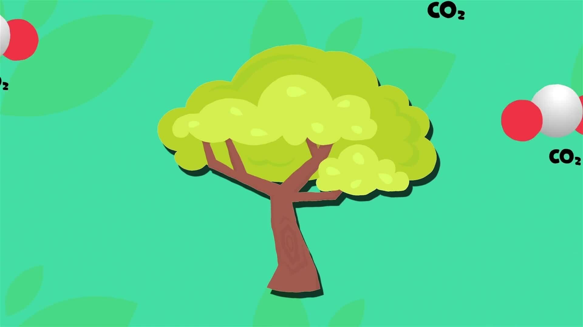 I WONDER - How Do Trees Help Climate Change?