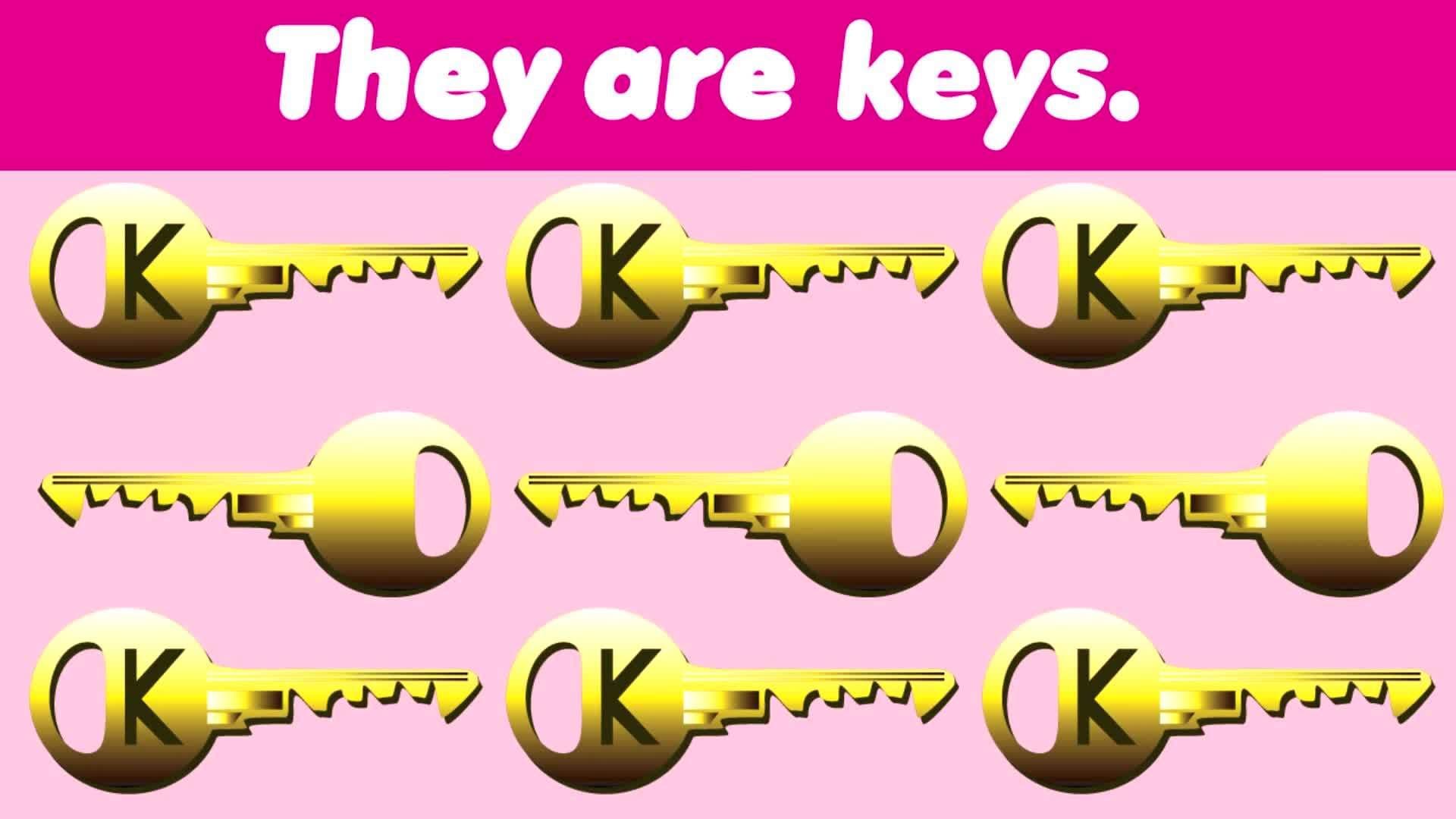 What Are They?