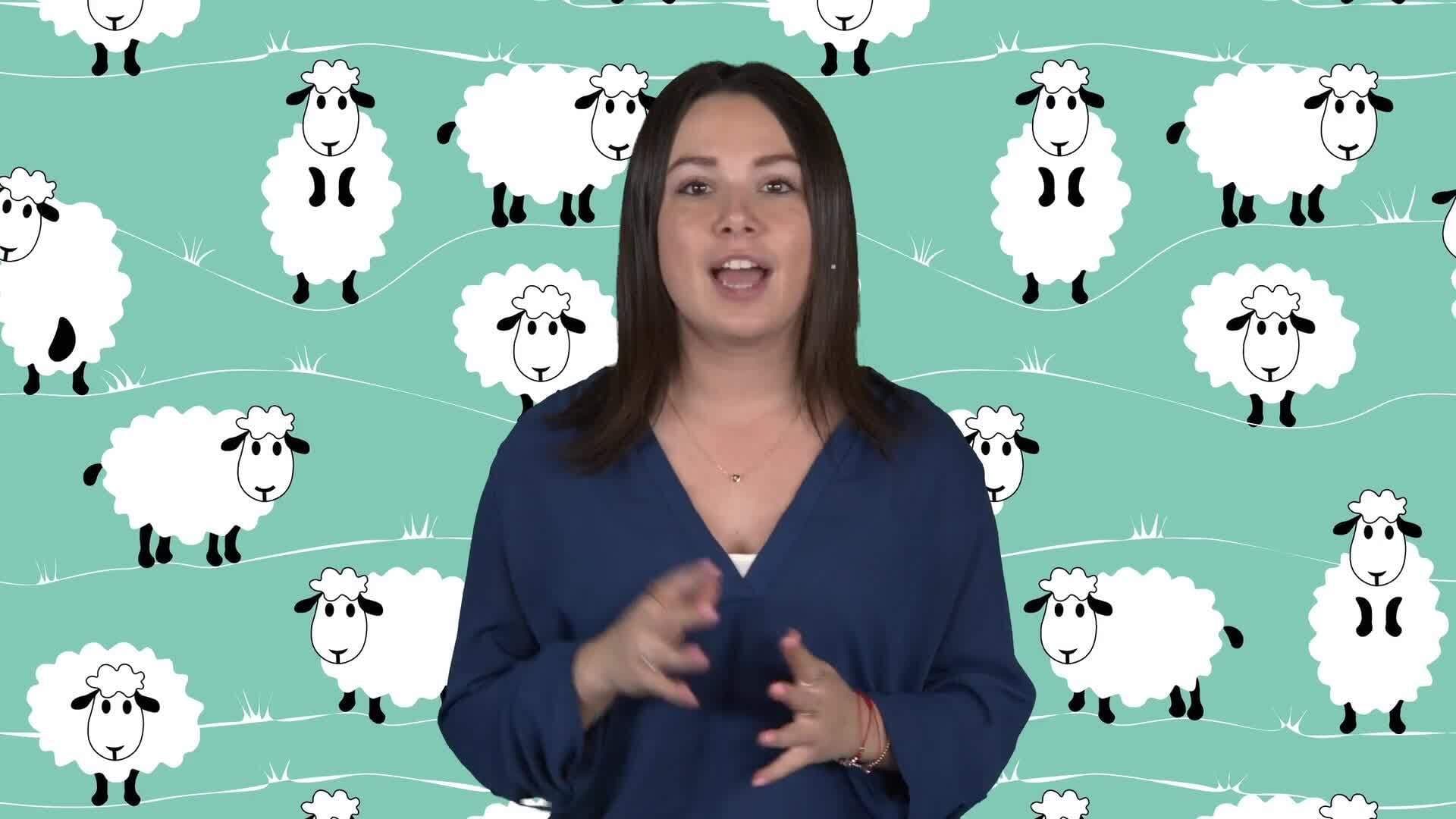 Solving Math Word Problems with Clues and Strategies